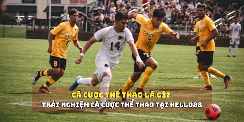  Cá cược thể thao là gì? 