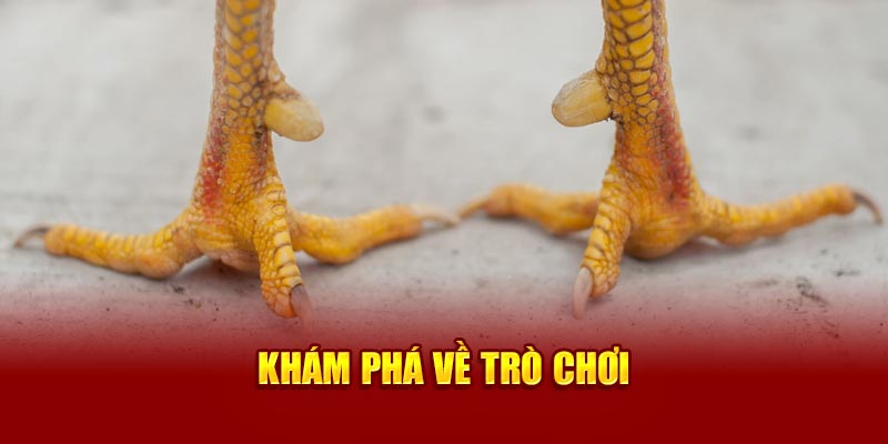 kham-pha-ve-tro-choi