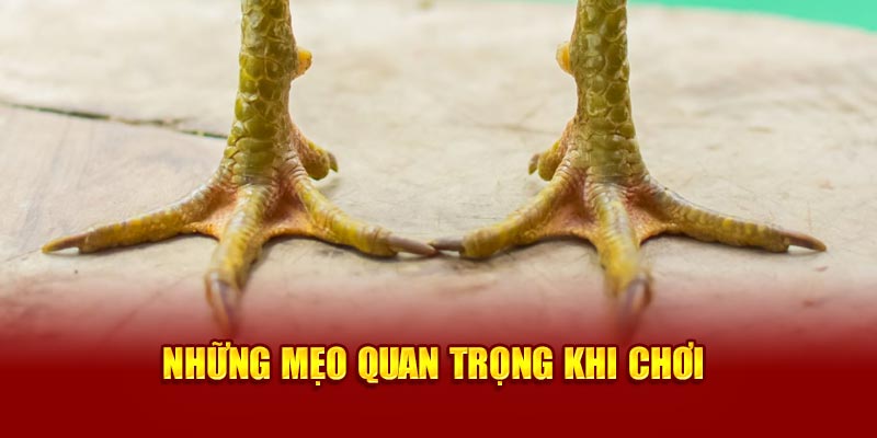 nhung-meo-quan-trong-khi-choi