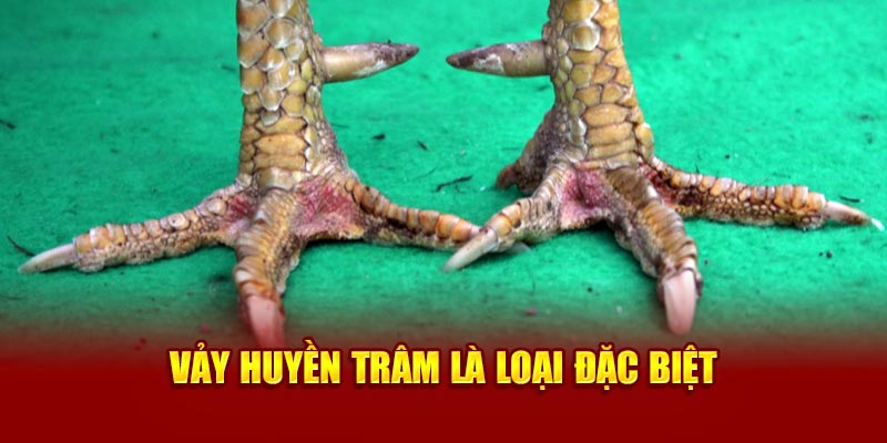 vay-huyen-tram-la-loai-dac-biet